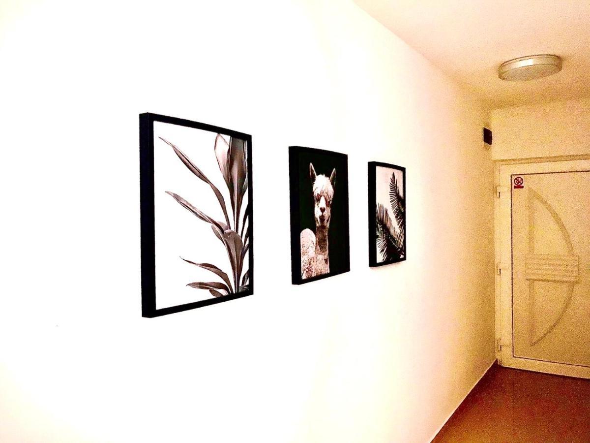 Vila Palit 497 D Apartment E מראה חיצוני תמונה